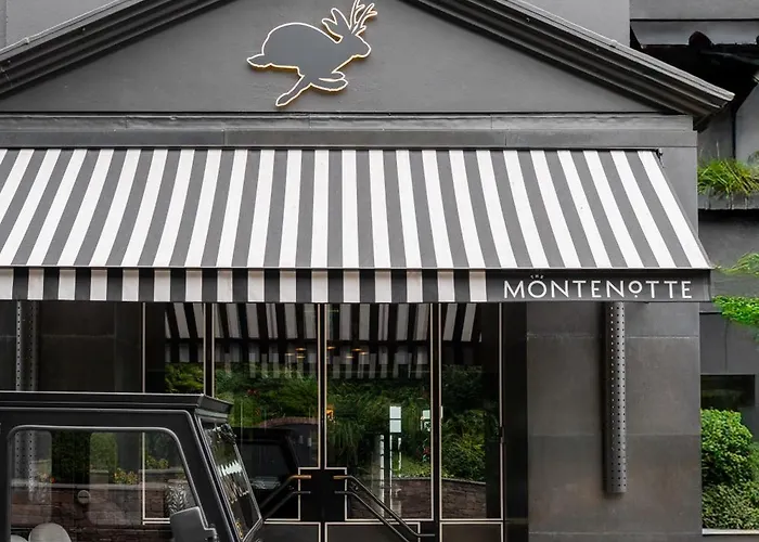 The Montenotte