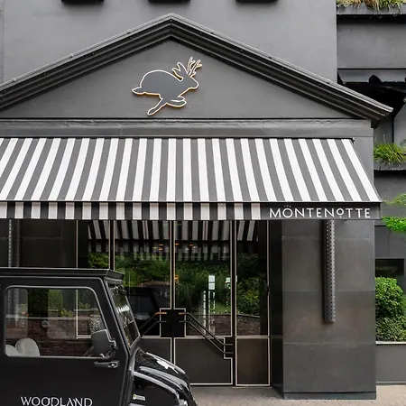 The Montenotte