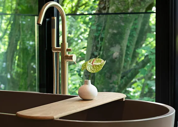 The Montenotte Hotel